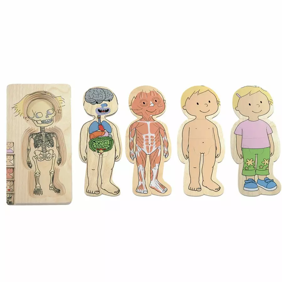 Beleduc - Your Body Girl 5 Layer Wooden Puzzle 3 Beleduc - Your Body Girl 5 Layer Wooden Puzzle