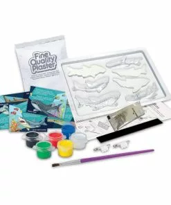 4M - Mould And Paint: Sharks 7 4M - Mould And Paint: Sharks -Educational Toys Shop C4785 4MMouldandPaintSharks 3 1024x1024