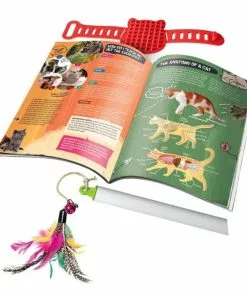 Clementoni - Science And Play Lab: My 4-Legged Friends 9 Clementoni - Science And Play Lab: My 4-Legged Friends -Educational Toys Shop CLE61341 ClementoniScienceandPlayLabMy4 LeggedFriendsScienceKit 3 1024x1024