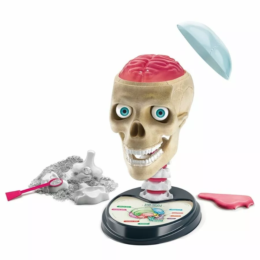 Clementoni - Science And Play: Crazy Anatomy Laboratory Science Kit 4 Clementoni - Science And Play: Crazy Anatomy Laboratory Science Kit - Image 2