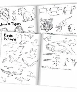 EeBoo - Learn To Draw Animals Book With Kevin Hawkes 5 EeBoo - Learn To Draw Animals Book With Kevin Hawkes -Educational Toys Shop EB ARTBK3 eeBooLearntoDrawAnimalsBookwithKevinHawkes 1024x1024