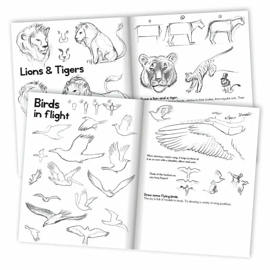 EeBoo - Learn To Draw Animals Book With Kevin Hawkes 4 EeBoo - Learn To Draw Animals Book With Kevin Hawkes - Image 2