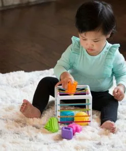 Fat Brain Toy Co Fat Brain Toys - Inny Bin