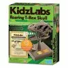 4M Toys - KidzLabs Roaring T-Rex Skull