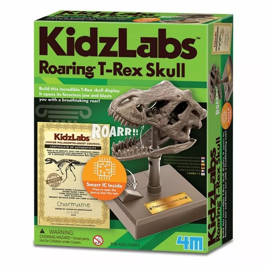 4M Toys - KidzLabs Roaring T-Rex Skull 3 4M Toys - KidzLabs Roaring T-Rex Skull