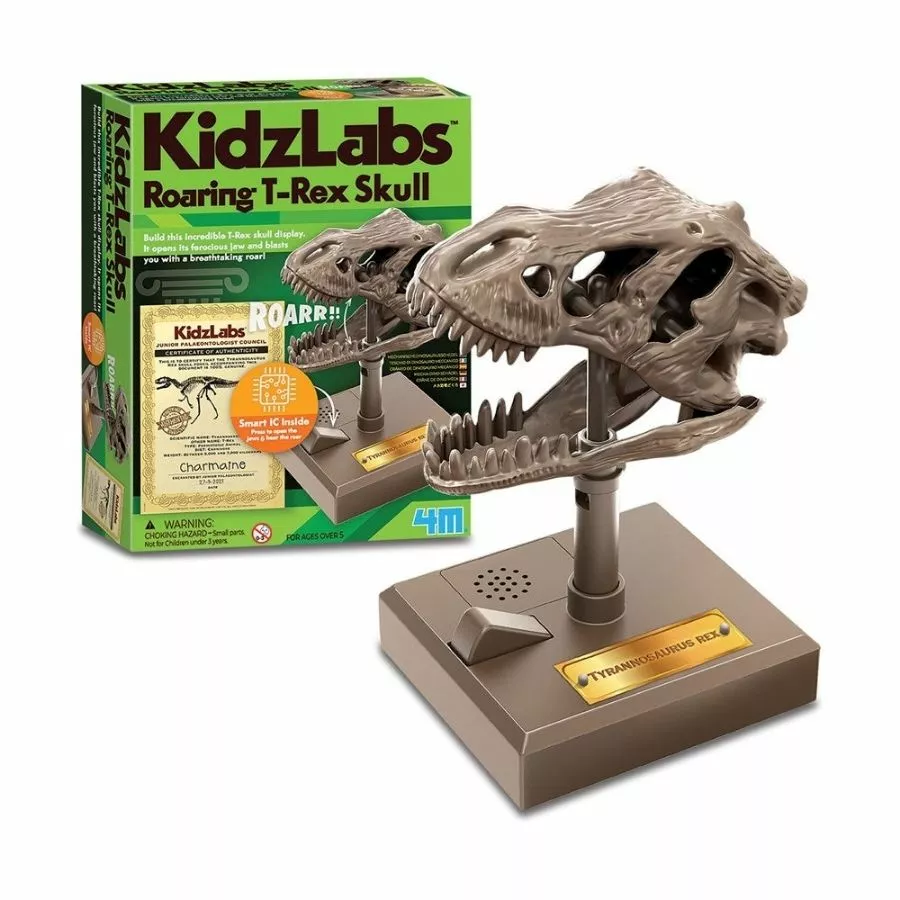 4M Toys - KidzLabs Roaring T-Rex Skull 4 4M Toys - KidzLabs Roaring T-Rex Skull - Image 2