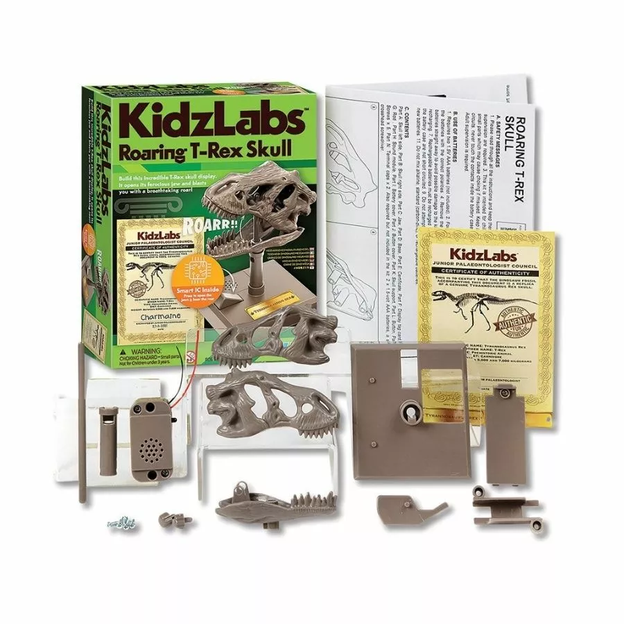 4M Toys - KidzLabs Roaring T-Rex Skull 5 4M Toys - KidzLabs Roaring T-Rex Skull - Image 3