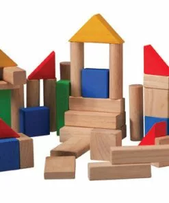 Plan Toys - 50 Blocks