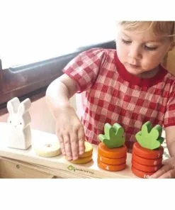 Tender Leaf Toys - Counting Carrots Wooden Stacker 11 Tender Leaf Toys - Counting Carrots Wooden Stacker -Educational Toys Shop TL8407 TenderLeafToysCountingCarrotsWoodenStacker 4 1024x1024